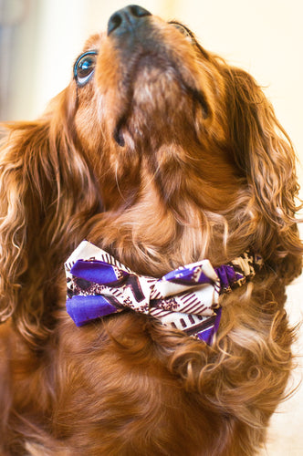 Lion's Thread Handcrafted Bow-Tie -- Purple & Taupe