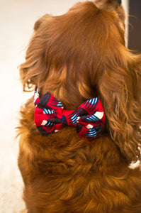 Lion's Thread Handcrafted Bow-Tie -- Red & Blue