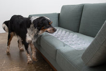Load image into Gallery viewer, keep dogs off couch